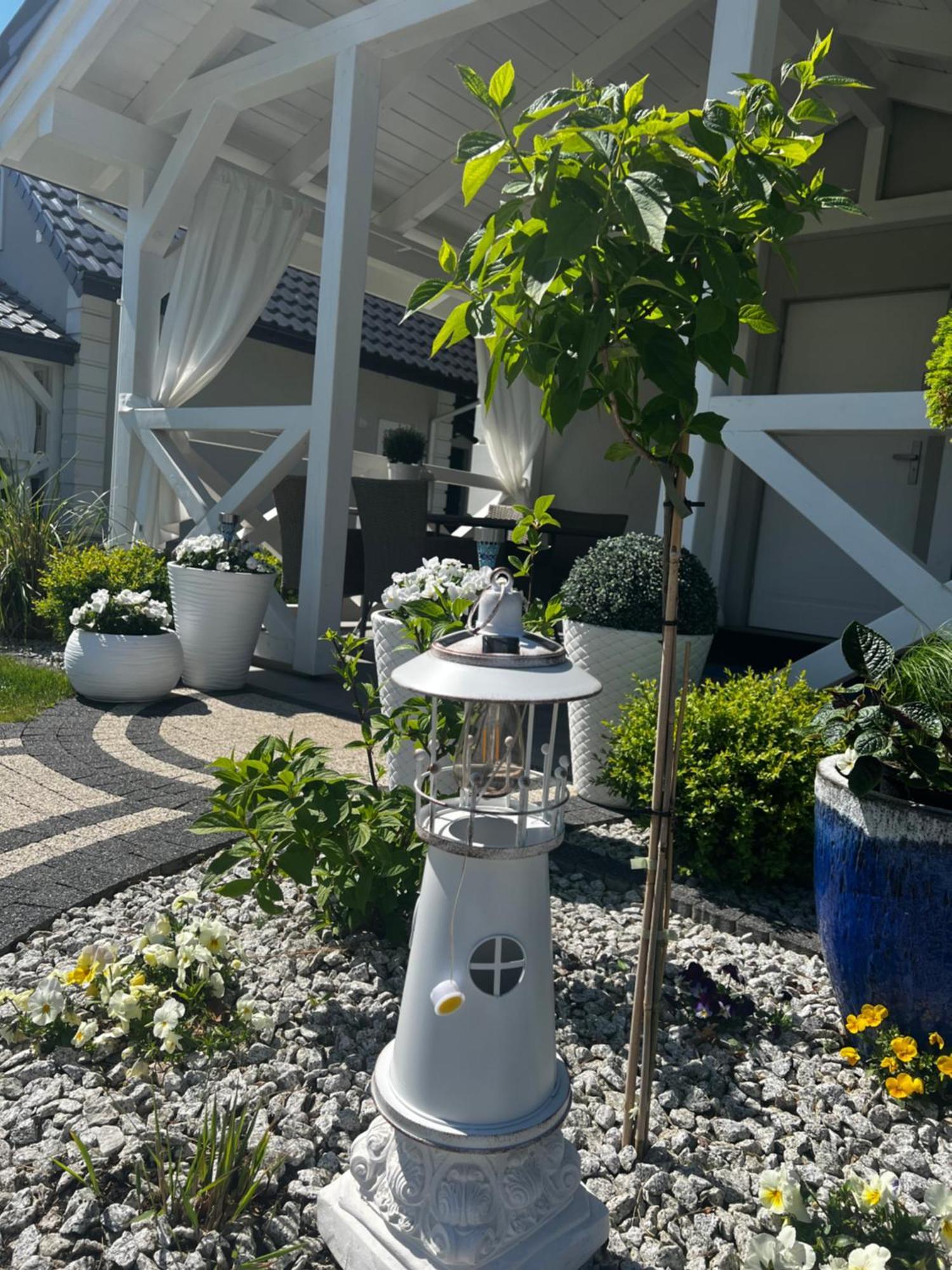 Cichata Nad Zatoka 카미엔 포모르스키 외부 사진